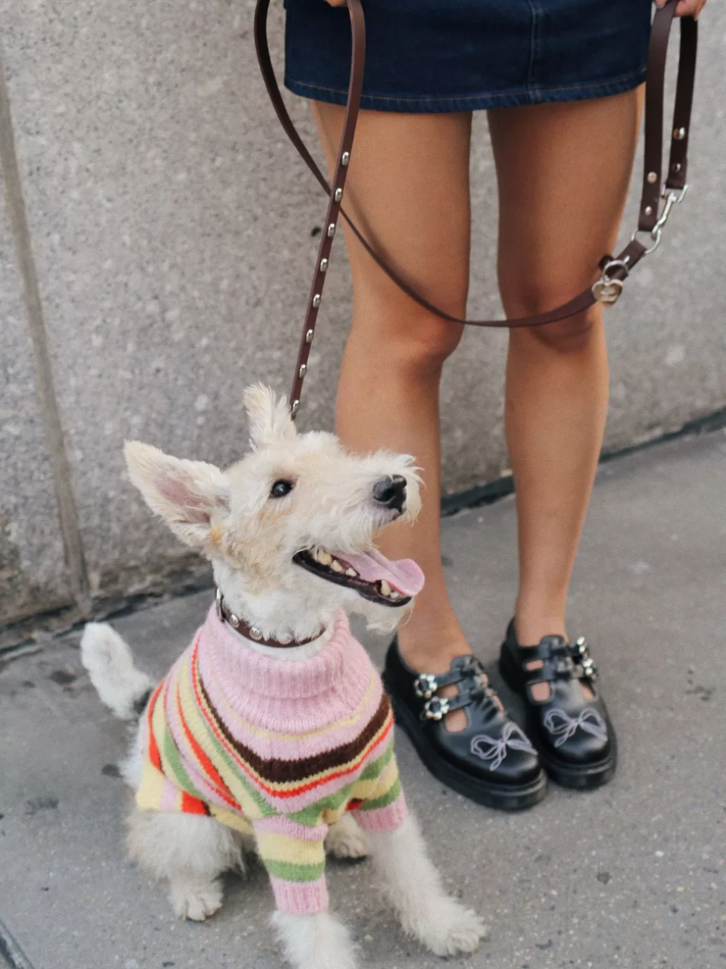 Shop Lisa Says Gah Dog Stud Leash - Brown