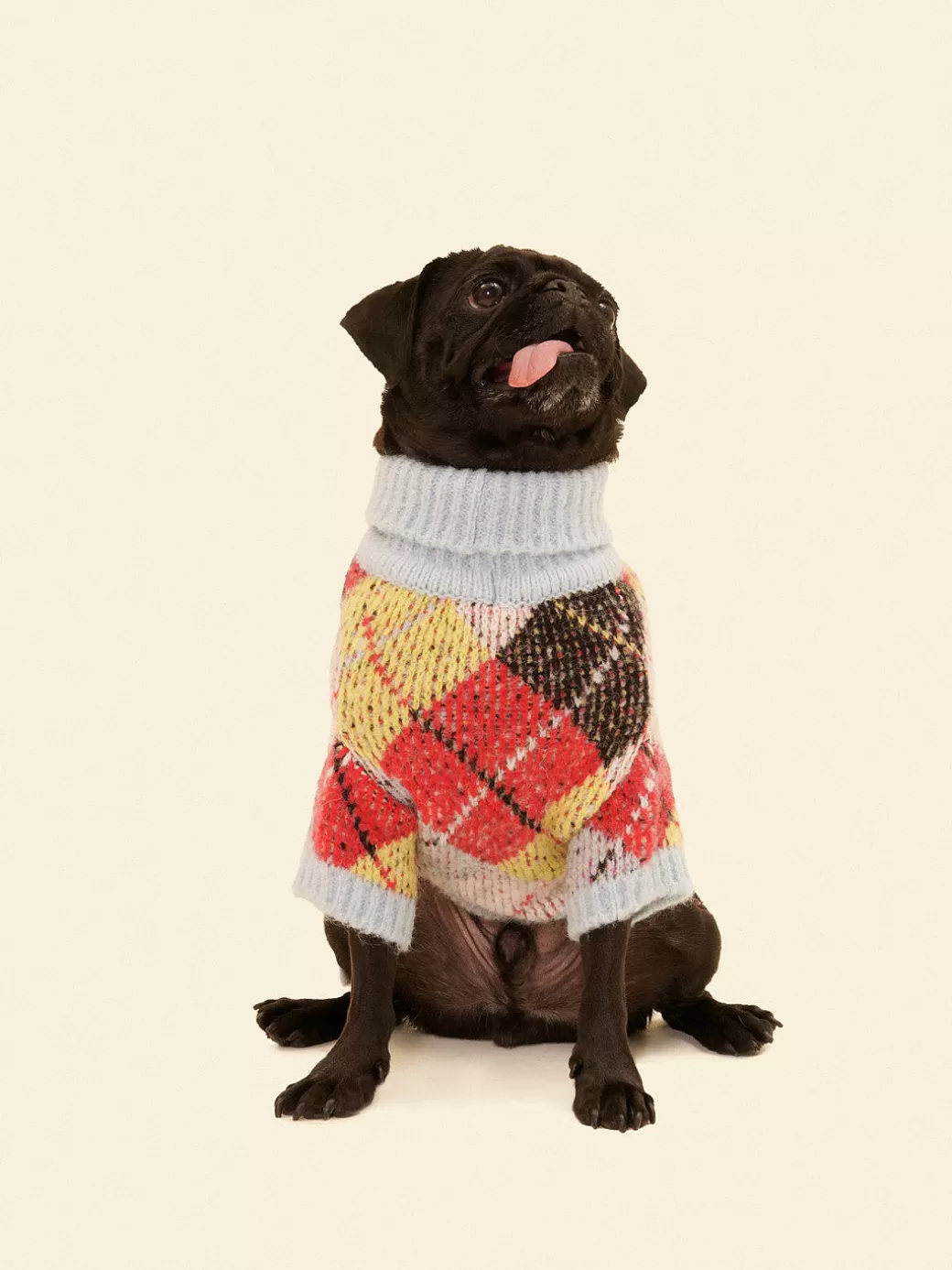 Fashion Lisa Says Gah Dog Sweater - Cirque Argyle CirqueArgyle